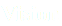Vision
